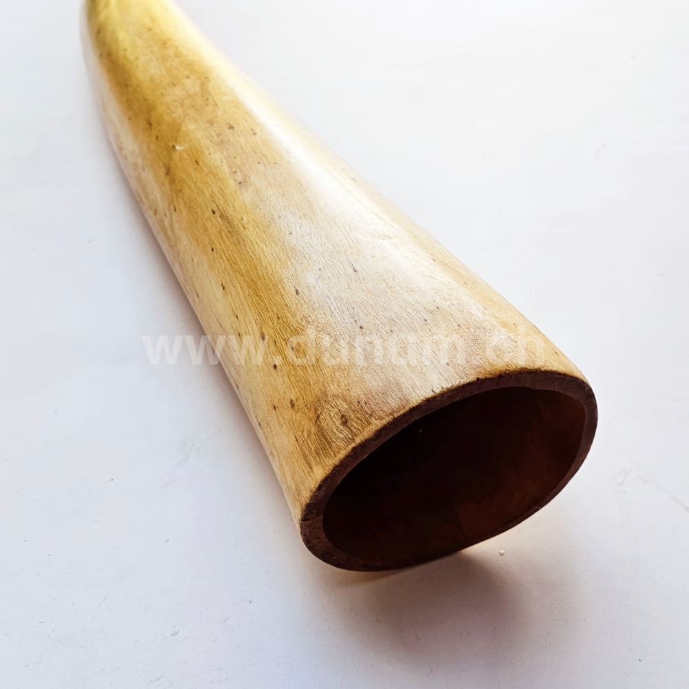 Proline Didgeridoo Hibiskus | Didgeridoo| Dunum.ch