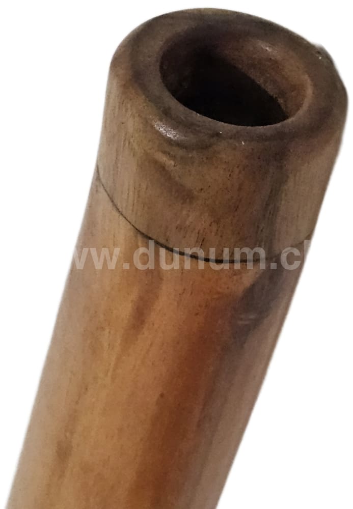 Didgeridoo Eukalyptus mit Tasche