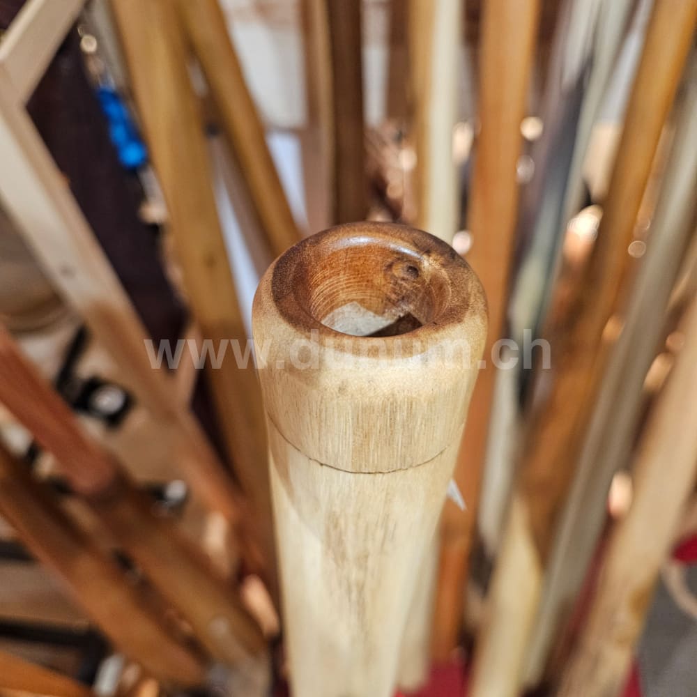 Didgeridoo Eukalyptus mit Tasche