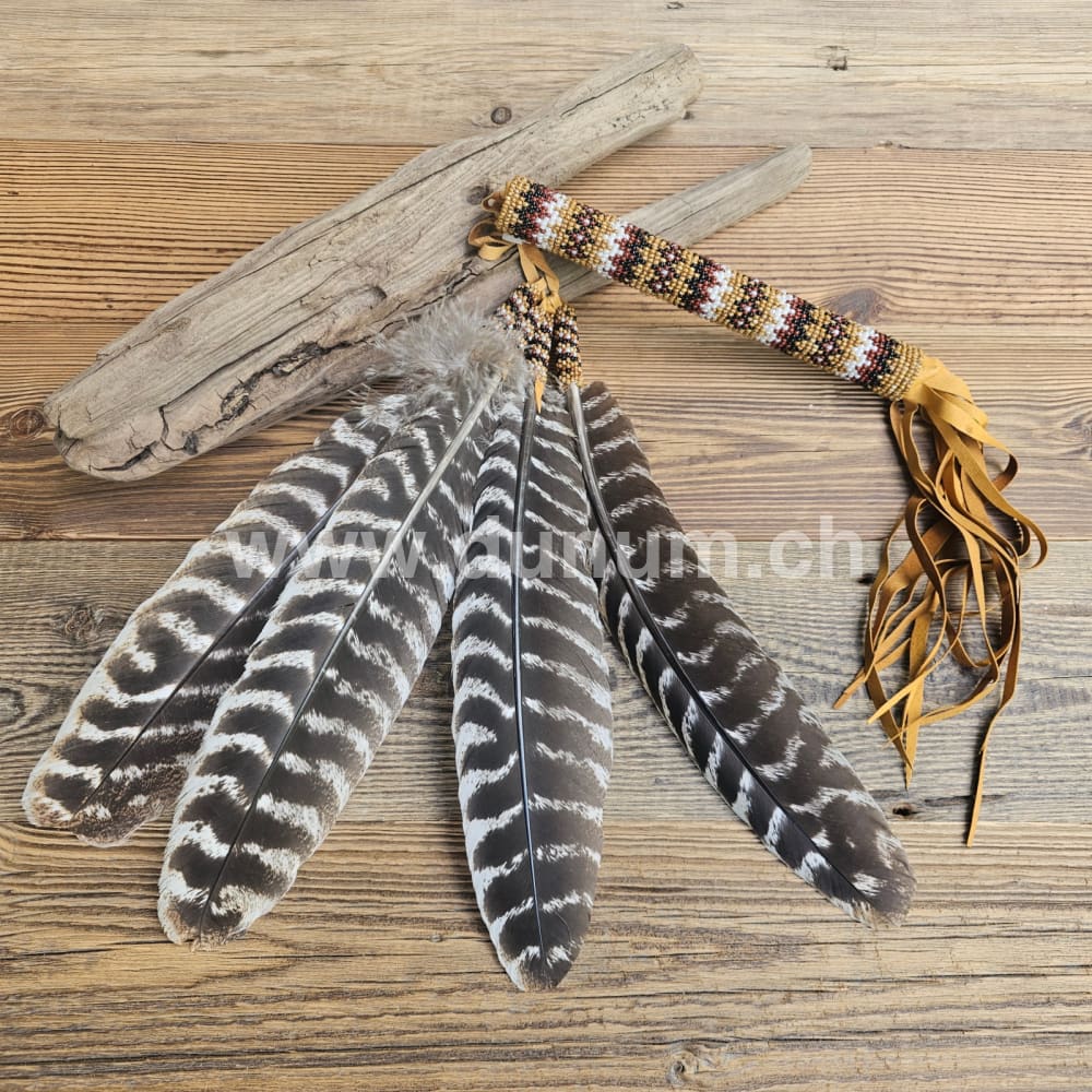 Gebetsfächer der Navajo