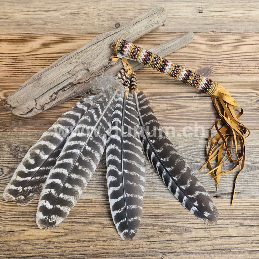 Gebetsfächer der Navajo