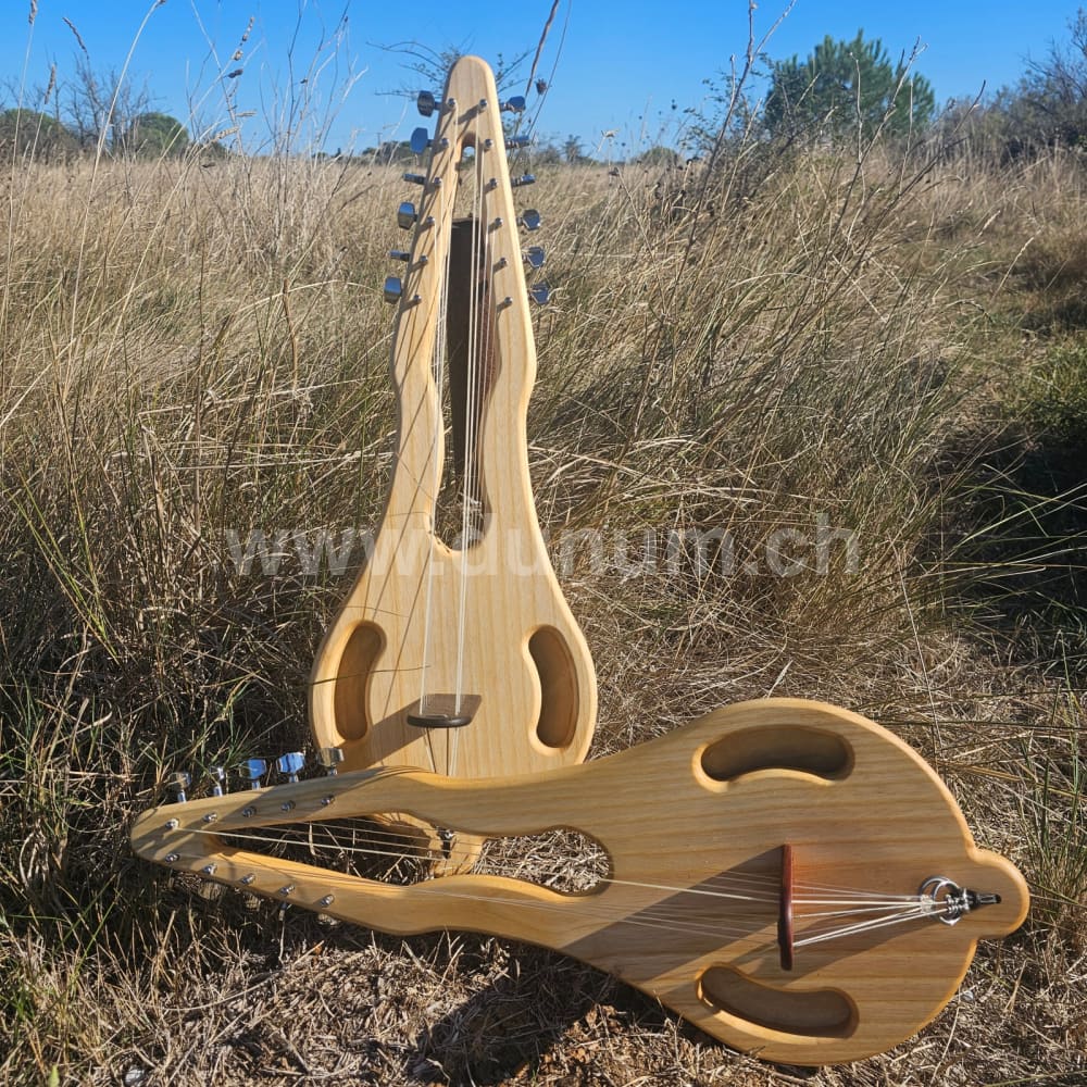 Gonilele 10 oder 12 Saiten 12 Saiten