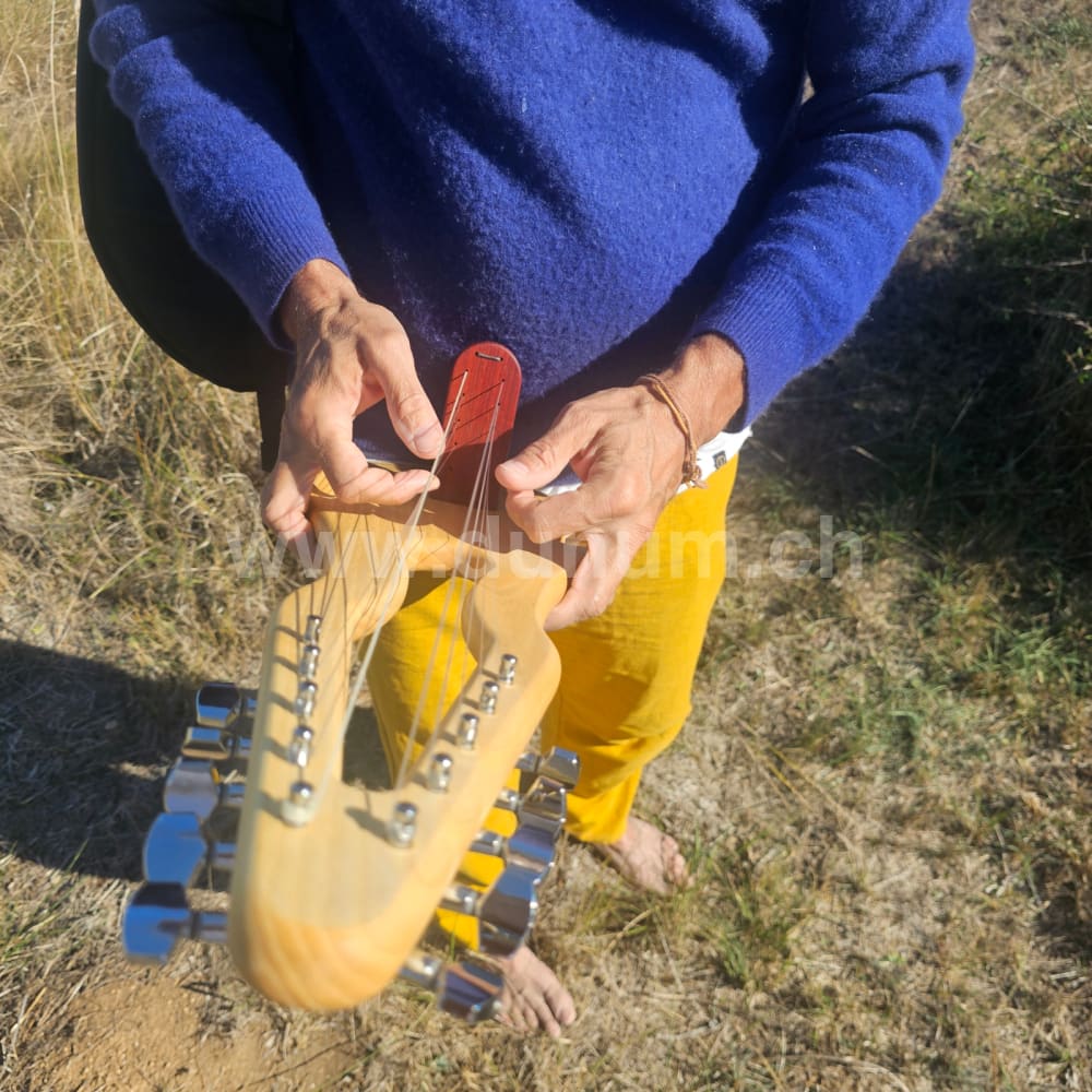 Gonilele 10 oder 12 Saiten