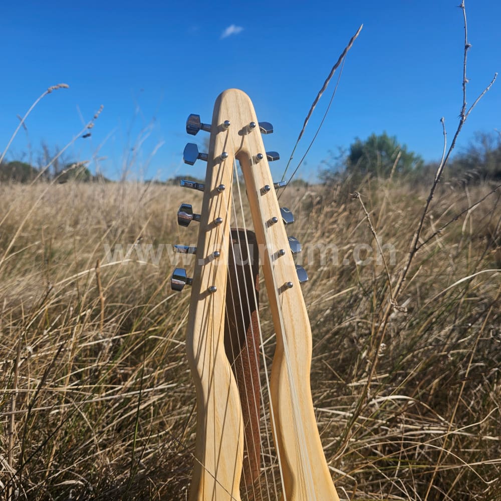 Gonilele 10 oder 12 Saiten