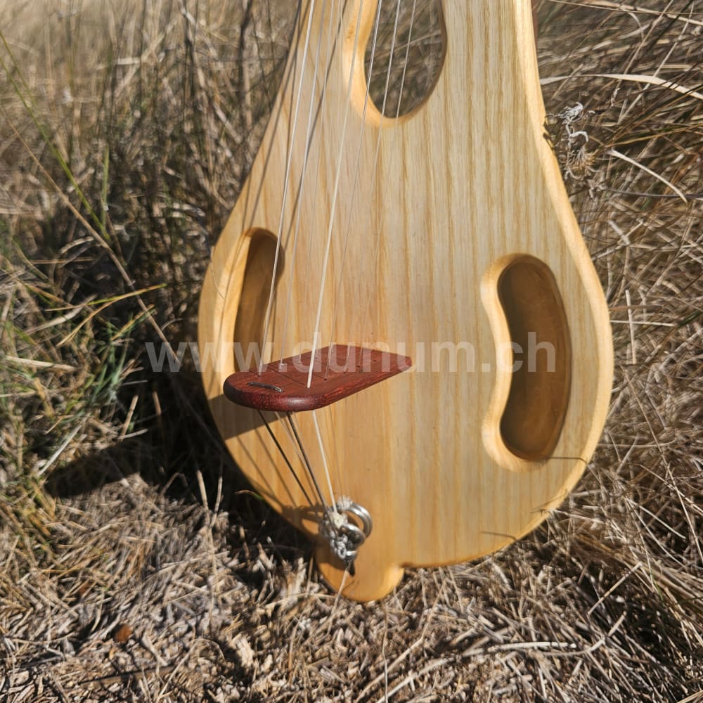 Gonilele 10 oder 12 Saiten