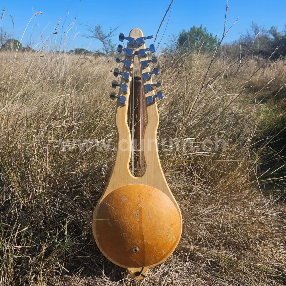 Gonilele 10 oder 12 Saiten