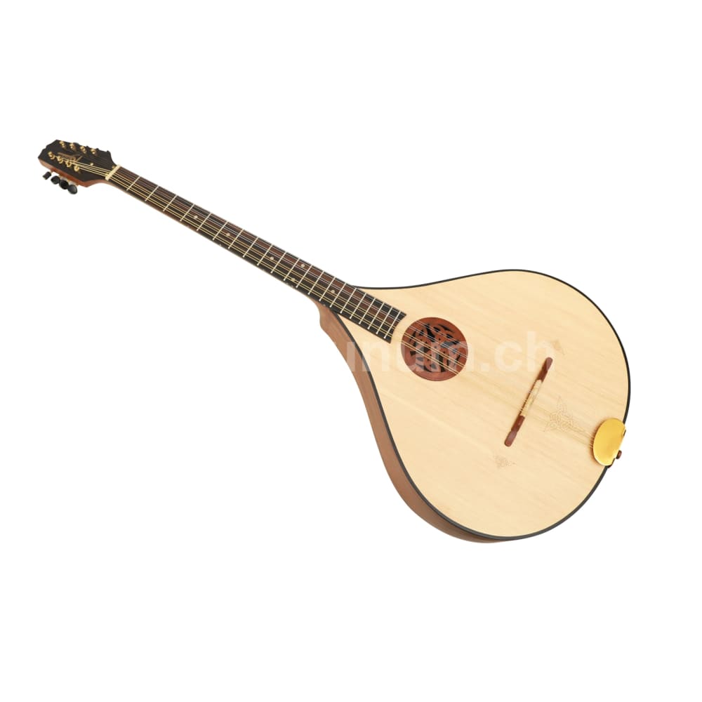 Irish Bouzouki 8-Saitig aus Mahagoni mit Tasche