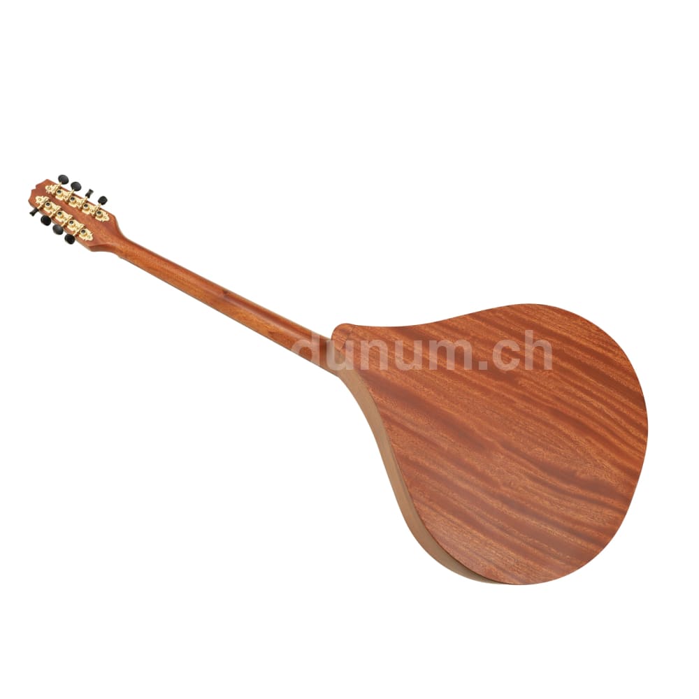 Irish Bouzouki 8-Saitig aus Mahagoni mit Tasche