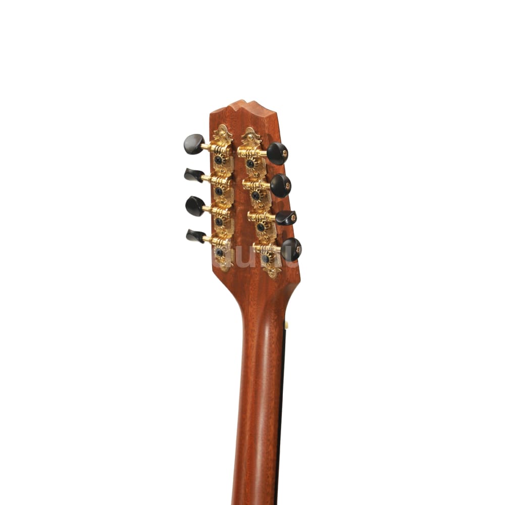 Irish Bouzouki 8-Saitig aus Mahagoni mit Tasche