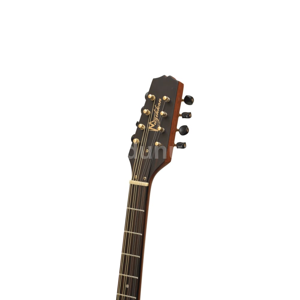 Irish Bouzouki 8-Saitig aus Mahagoni mit Tasche
