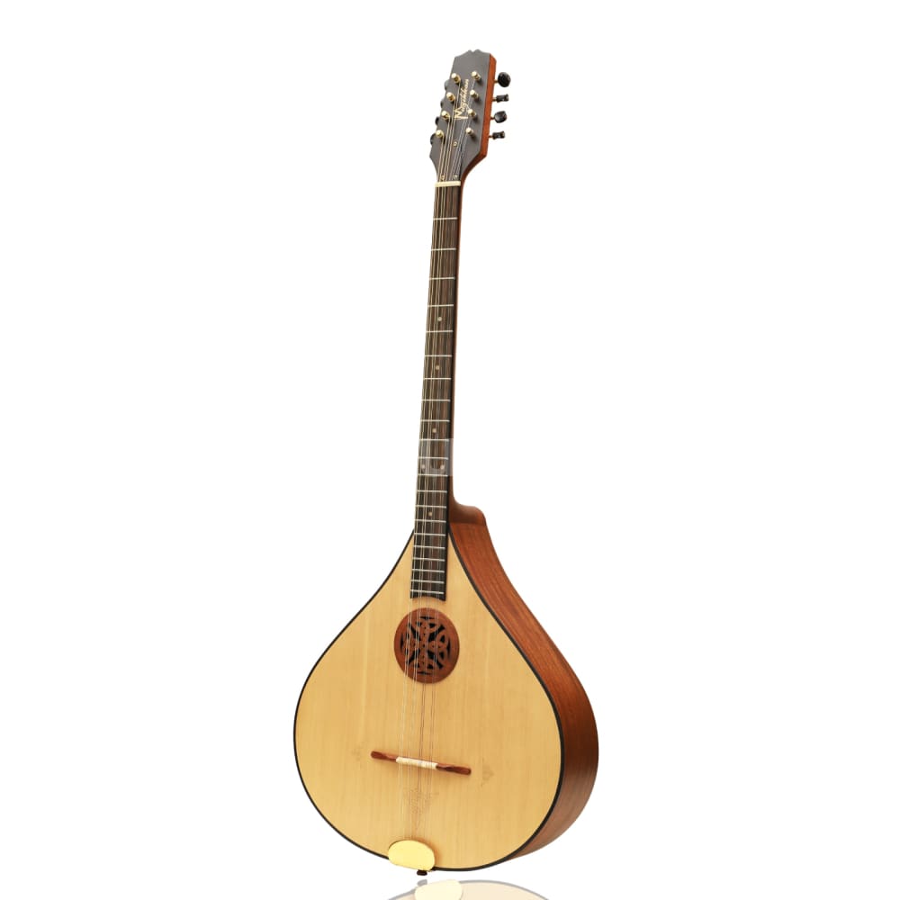 Irish Bouzouki 8-Saitig aus Mahagoni mit Tasche