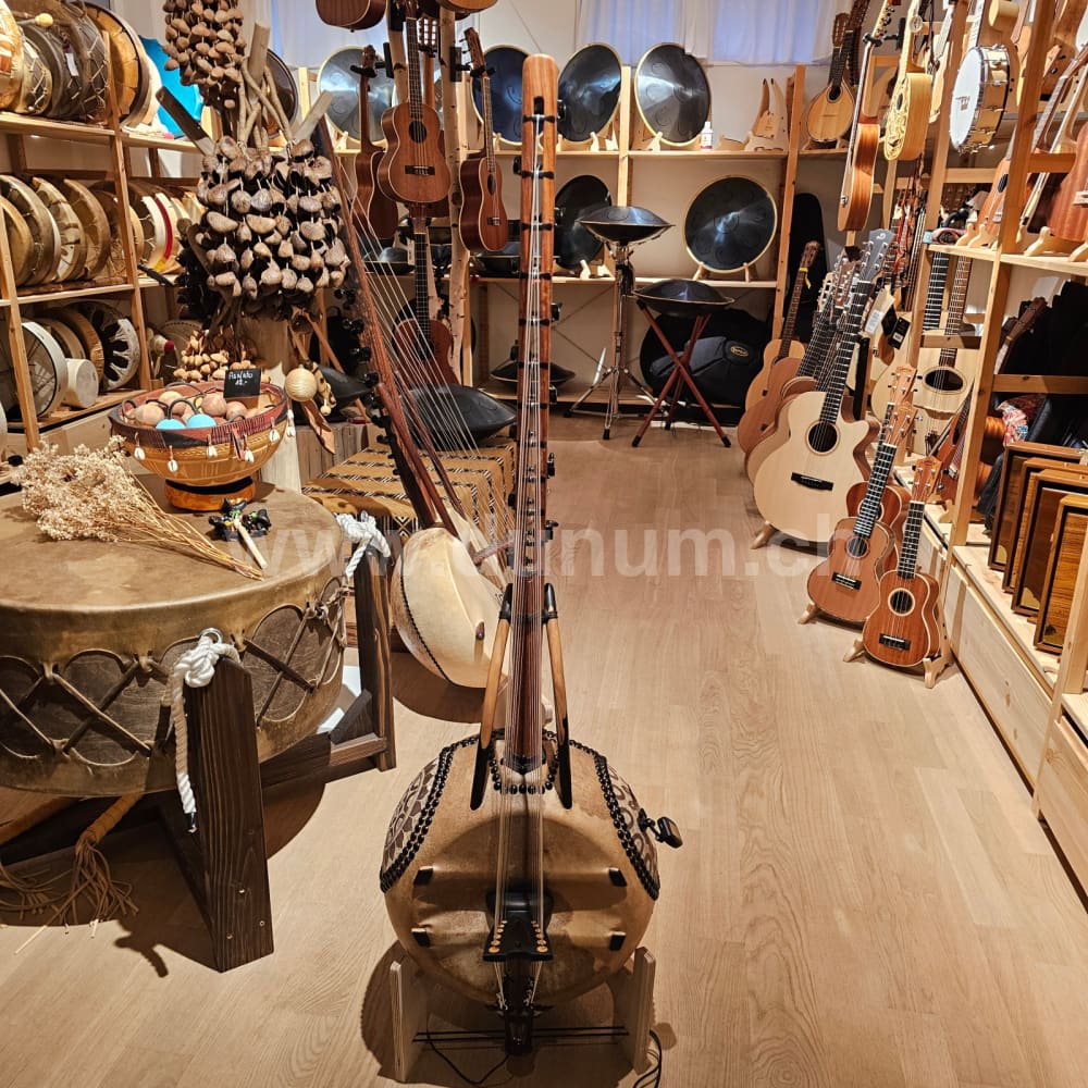 Kamelen Goni 12 Saiten mit Pick Up mit Tasche