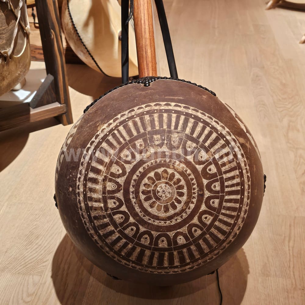 Kamelen Goni 12 Saiten mit Pick Up mit Tasche