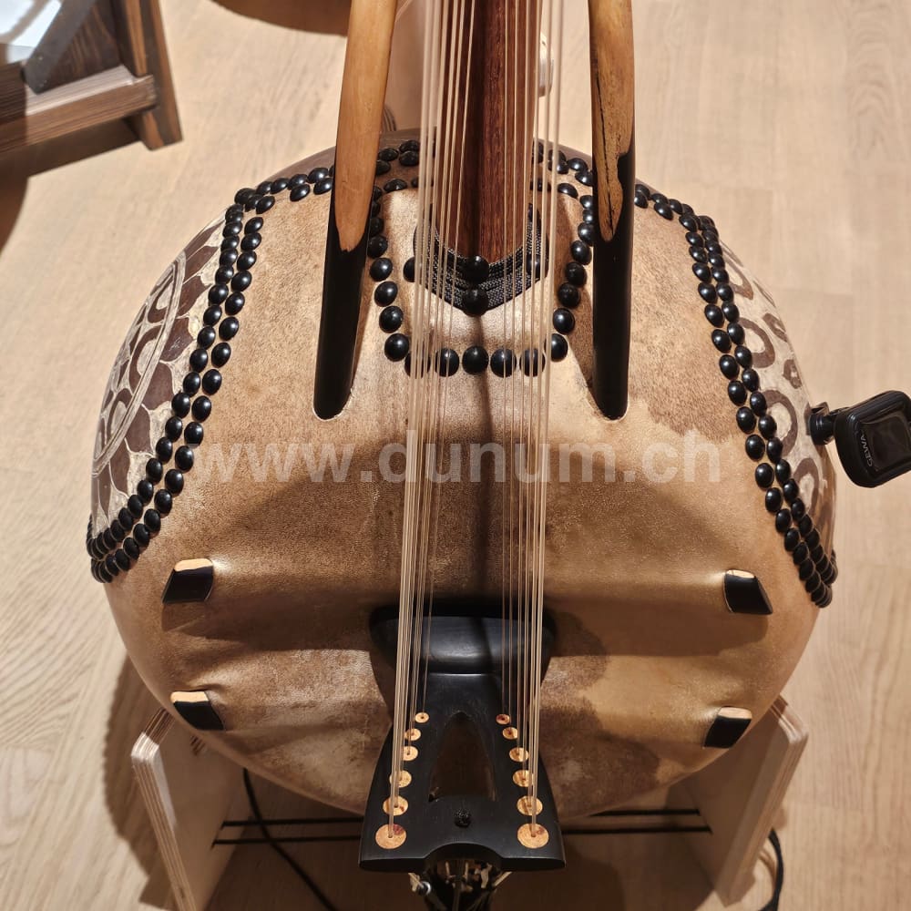 Kamelen Goni 12 Saiten mit Pick Up mit Tasche
