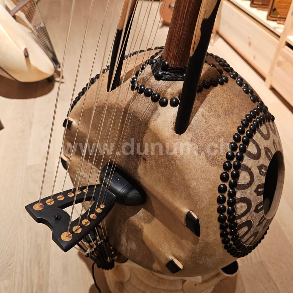 Kamelen Goni 12 Saiten mit Pick Up mit Tasche