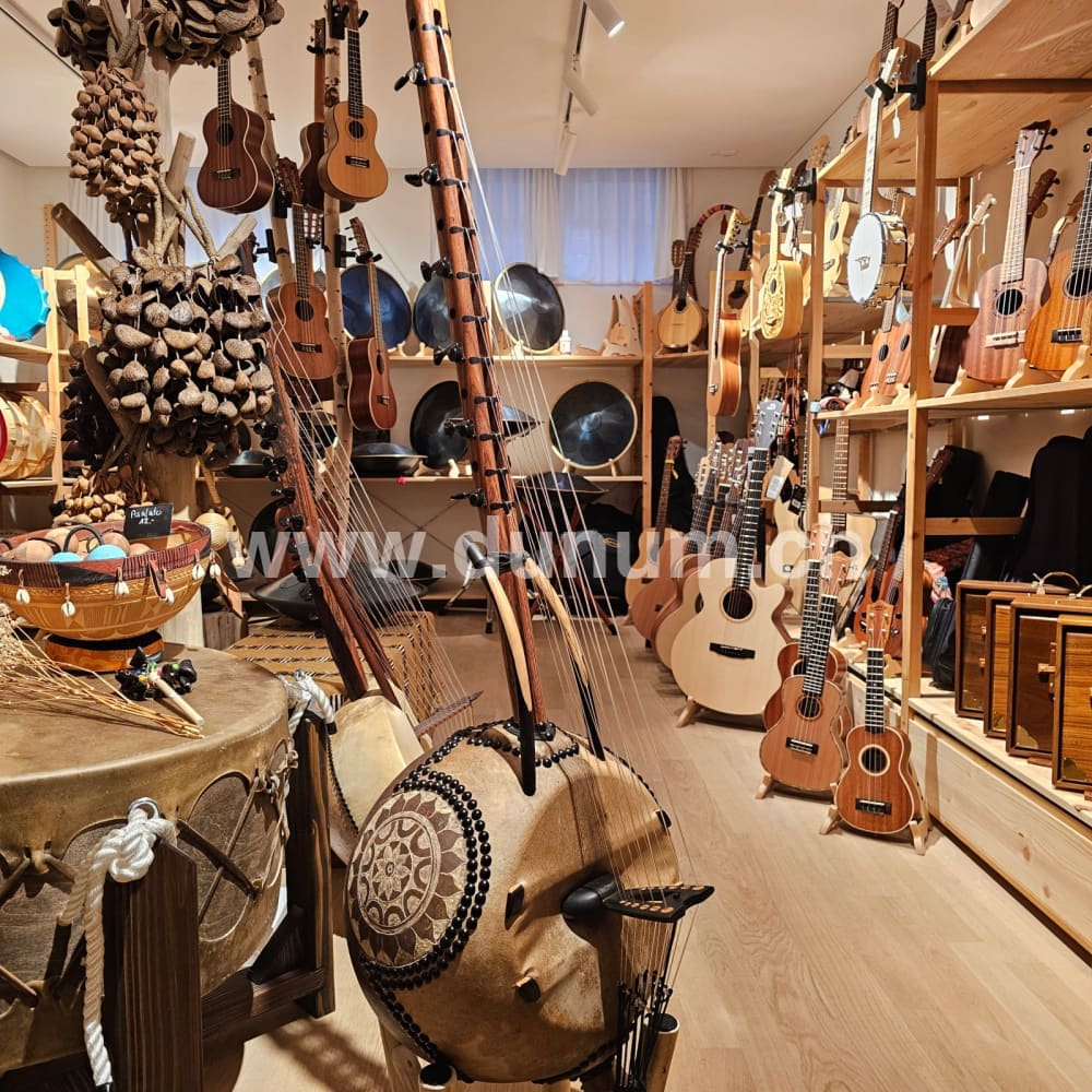 Kamelen Goni 12 Saiten mit Pick Up mit Tasche