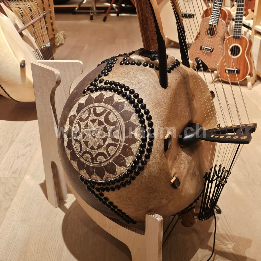 Kamelen Goni 12 Saiten mit Pick Up mit Tasche