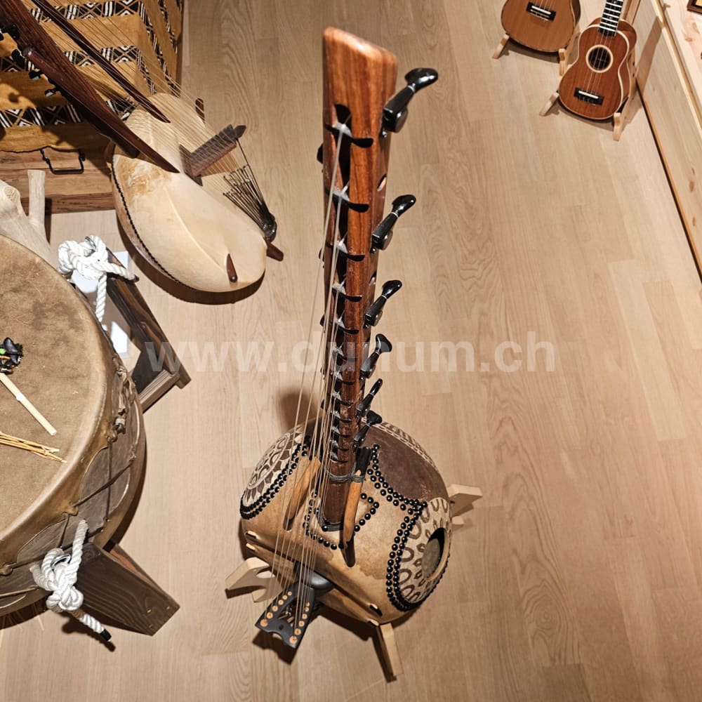 Kamelen Goni 12 Saiten mit Pick Up mit Tasche