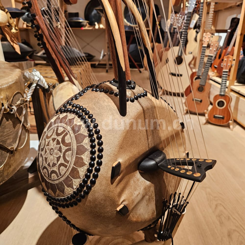 Kamelen Goni 12 Saiten mit Pick Up mit Tasche