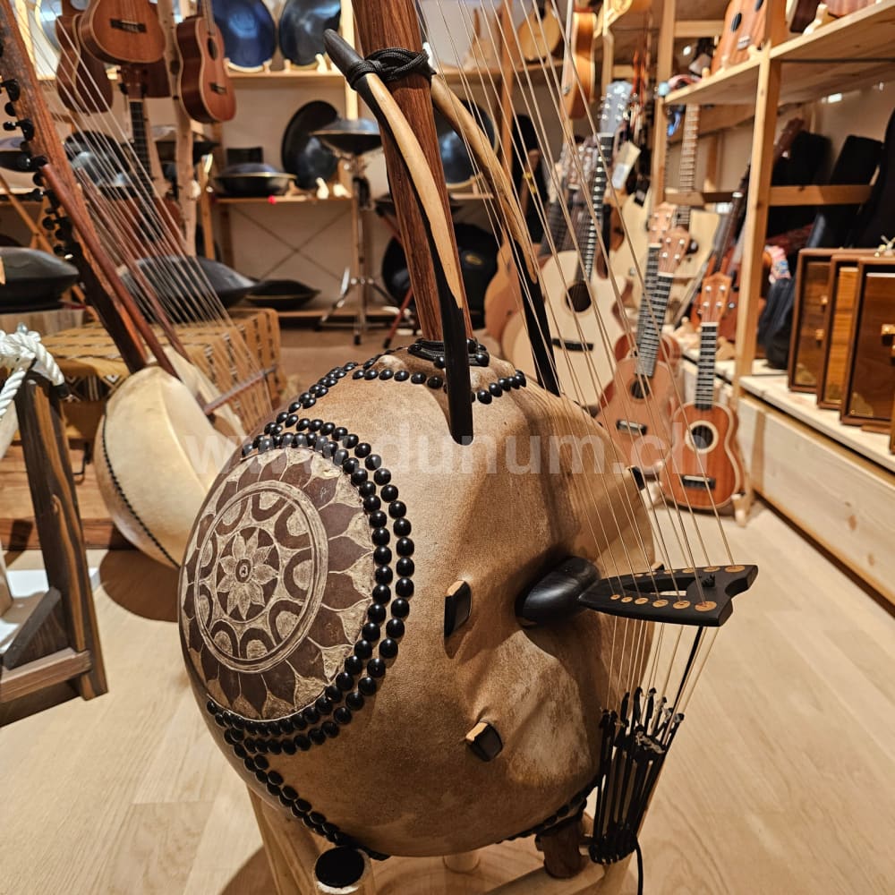 Kamelen Goni 12 Saiten mit Pick Up mit Tasche