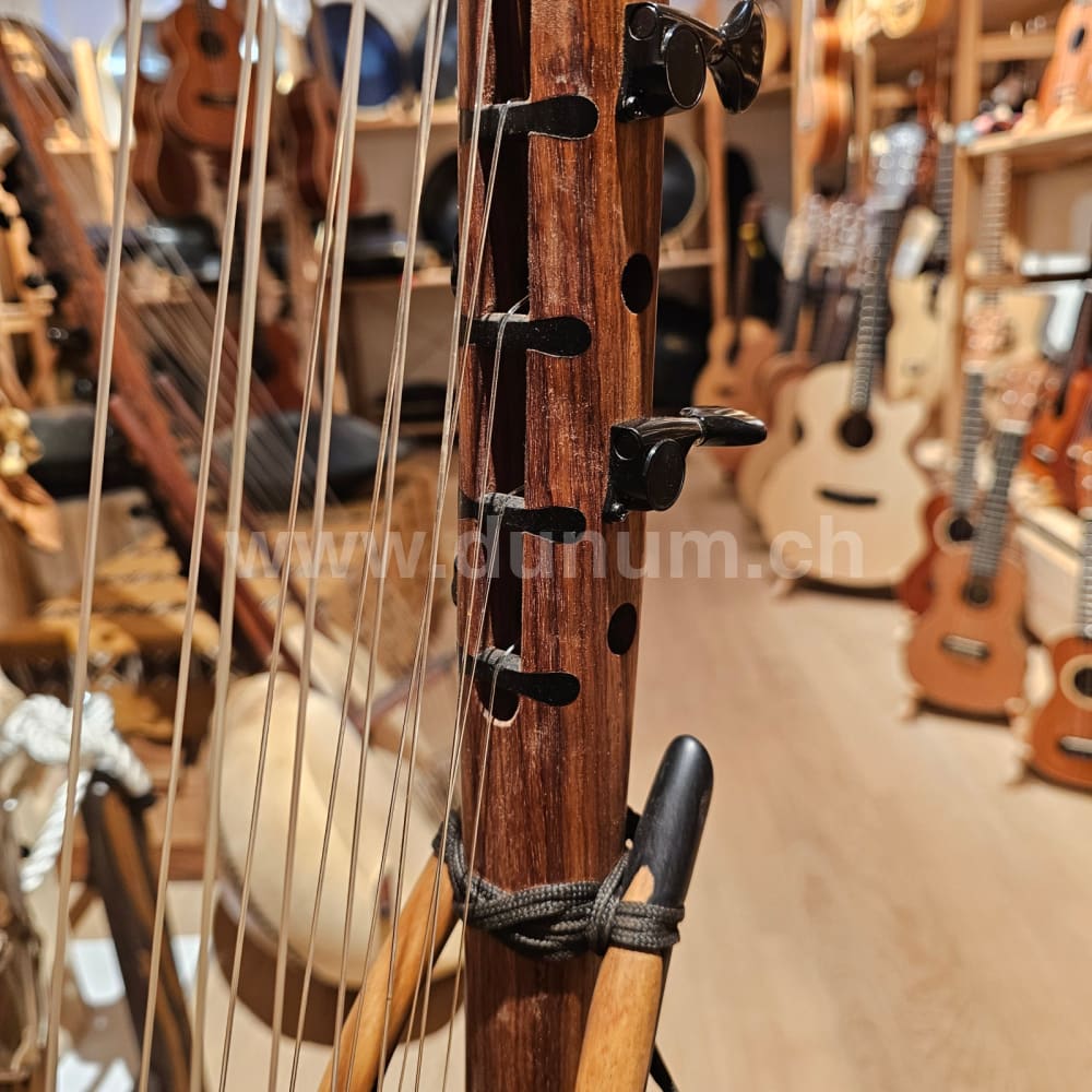 Kamelen Goni 12 Saiten mit Pick Up mit Tasche