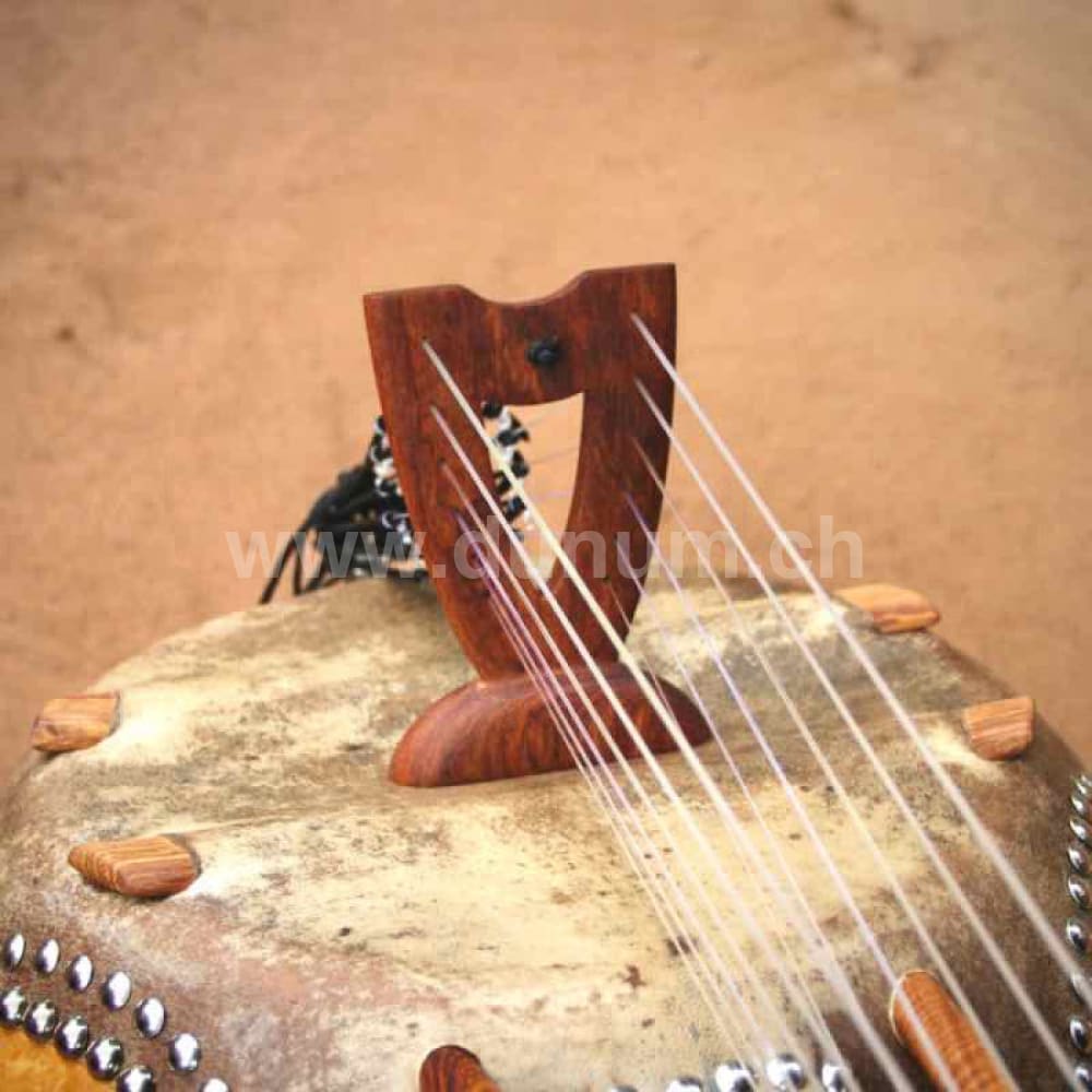 Kamelen Goni 12 Saiten mit Pick Up und Tasche