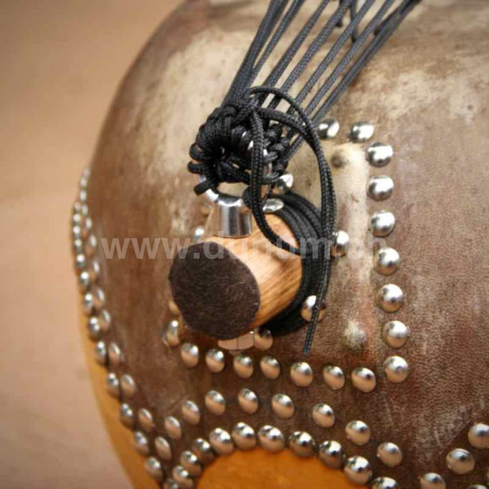 Kamelen Goni 12 Saiten mit Pick Up und Tasche