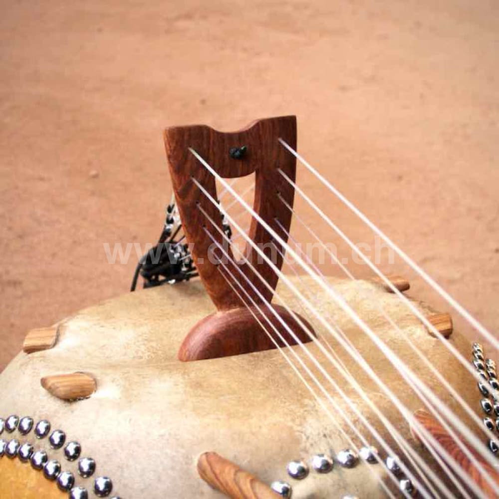 Kamelen Goni 12 Saiten und Tasche