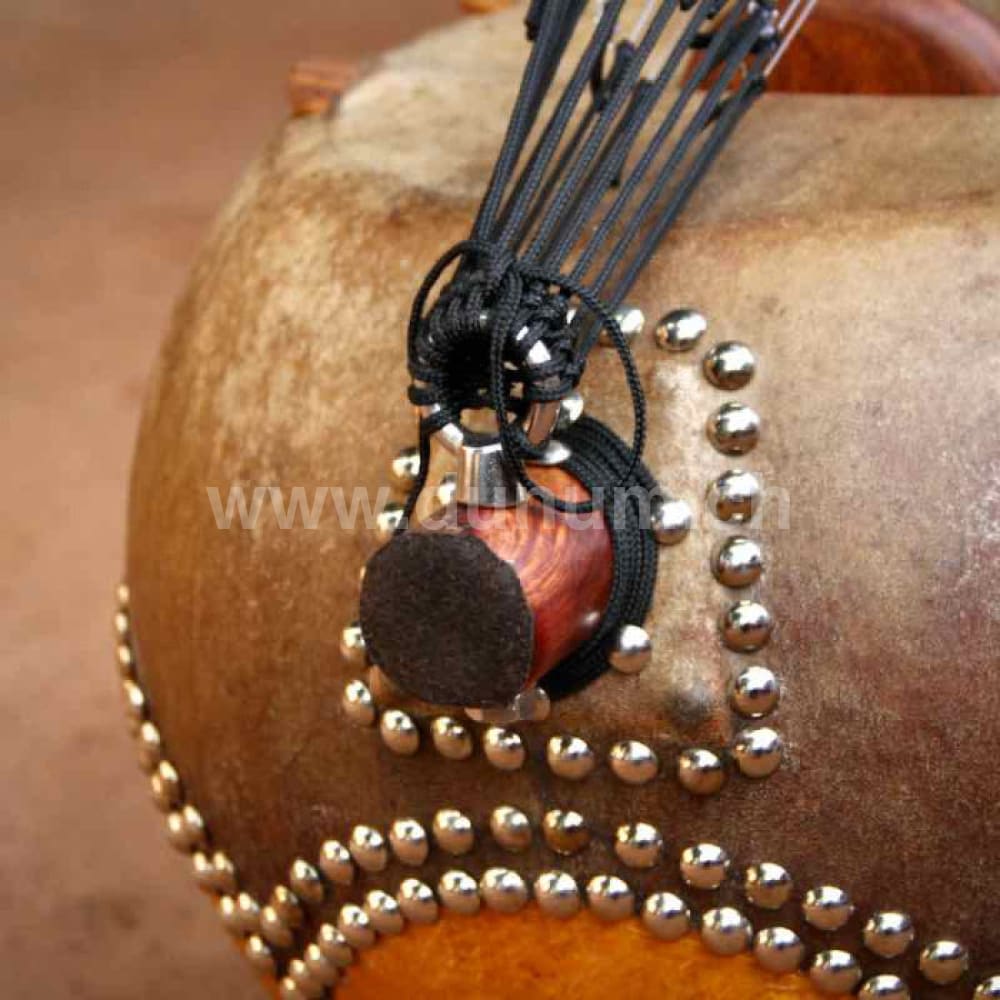 Kamelen Goni 12 Saiten und Tasche