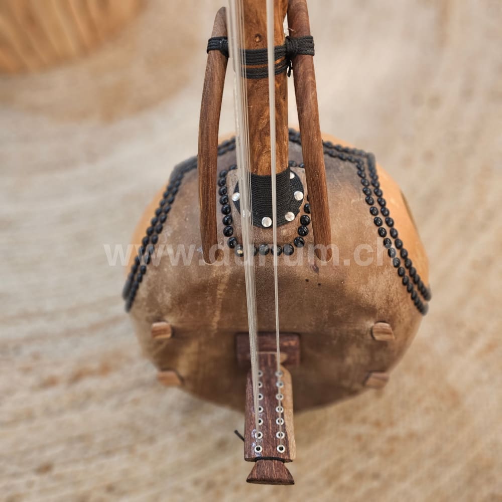 Kamelen Goni 14 Saiten mit Tasche | Saiteninstrumente | Kora N'Goni | Dunum.ch