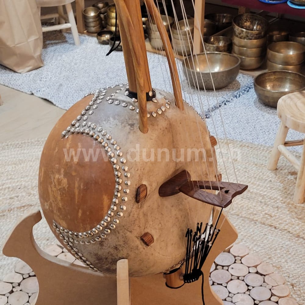 Kamelen Goni Klassisch 12 Saiten mit Verstärker und Tasche