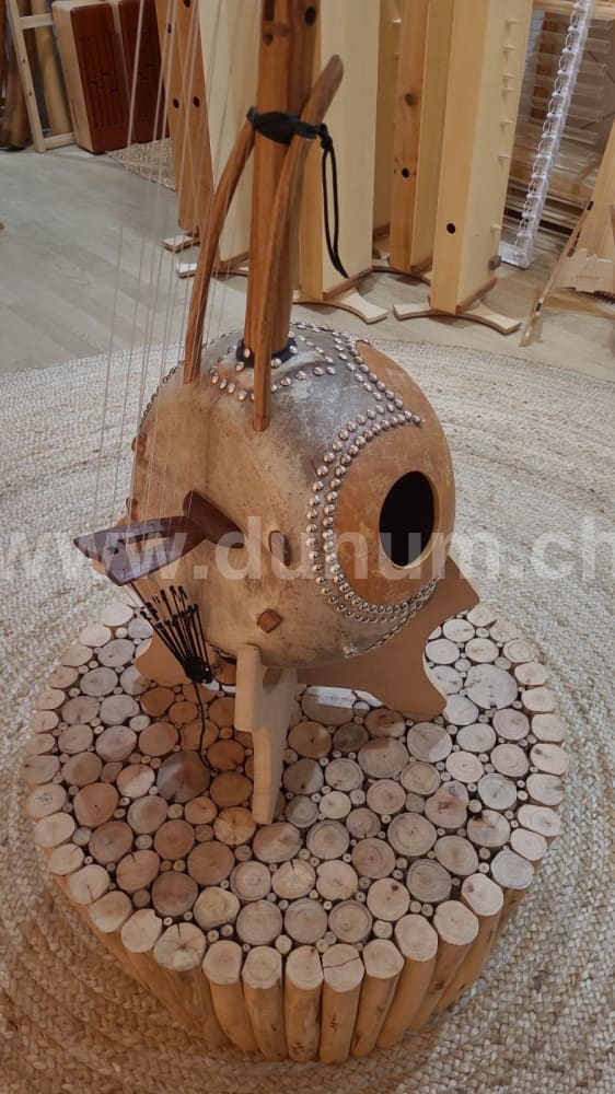 Kamelen Goni Klassisch 12 Saiten mit Verstärker und Tasche