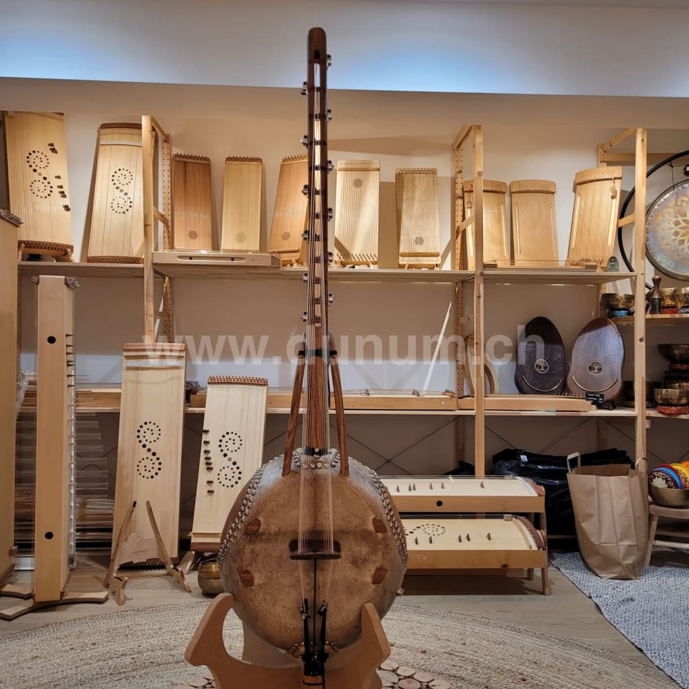 Kamelen Goni Klassisch 12 Saiten mit Verstärker und Tasche