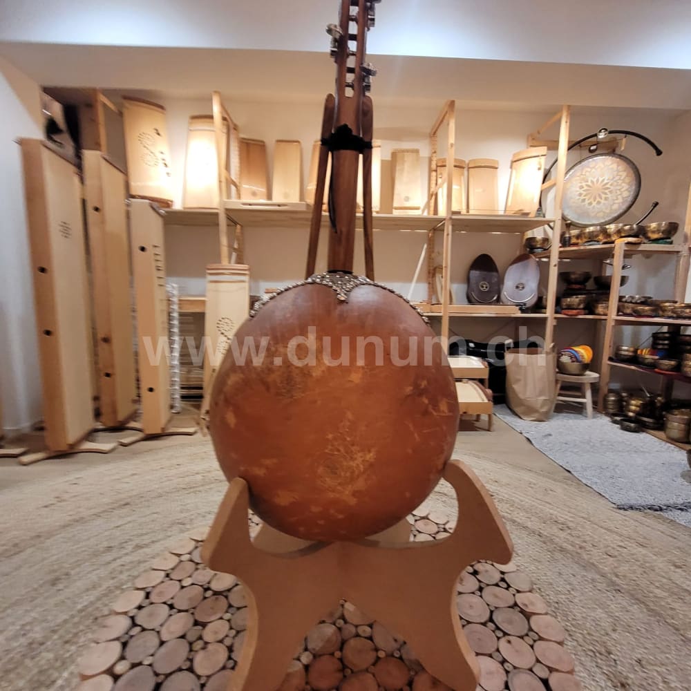 Kamelen Goni Klassisch 12 Saiten mit Verstärker und Tasche