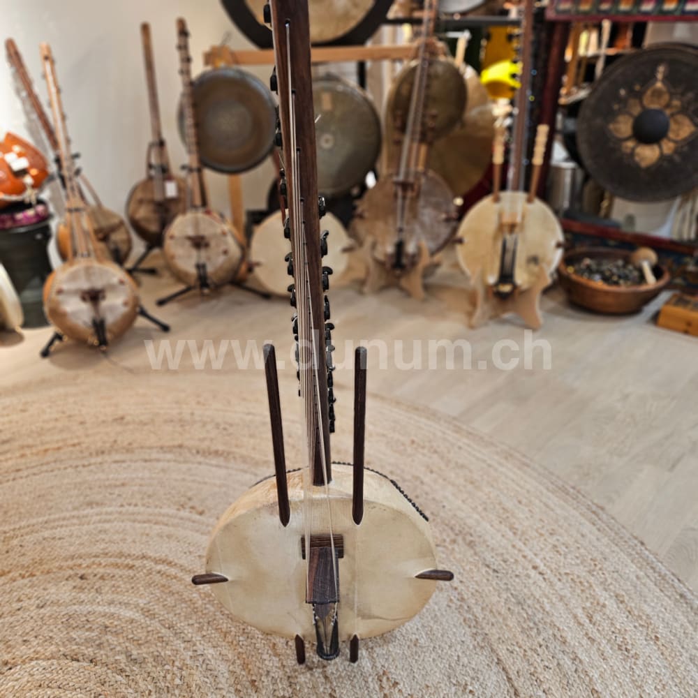 Kora 21 Saiten Sapele | Saiteninstrumente | Kora N'Goni | Dunum.ch