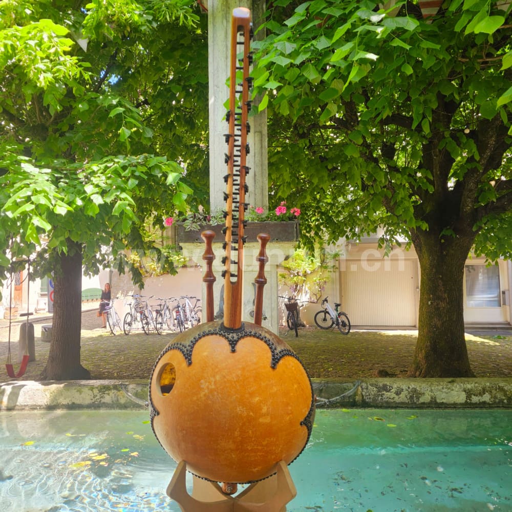 Kora Klassik mit Tasche und Verstärker