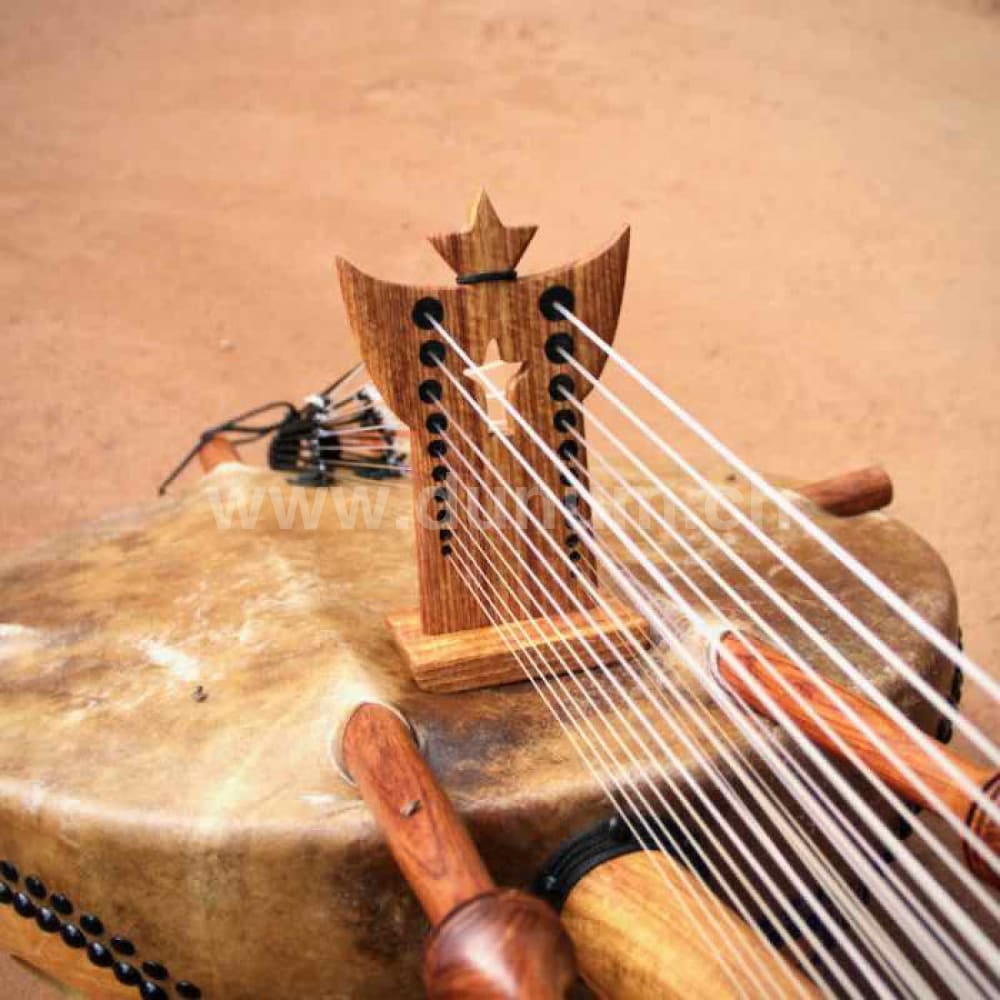 Kora Klassik mit Tasche und Verstärker