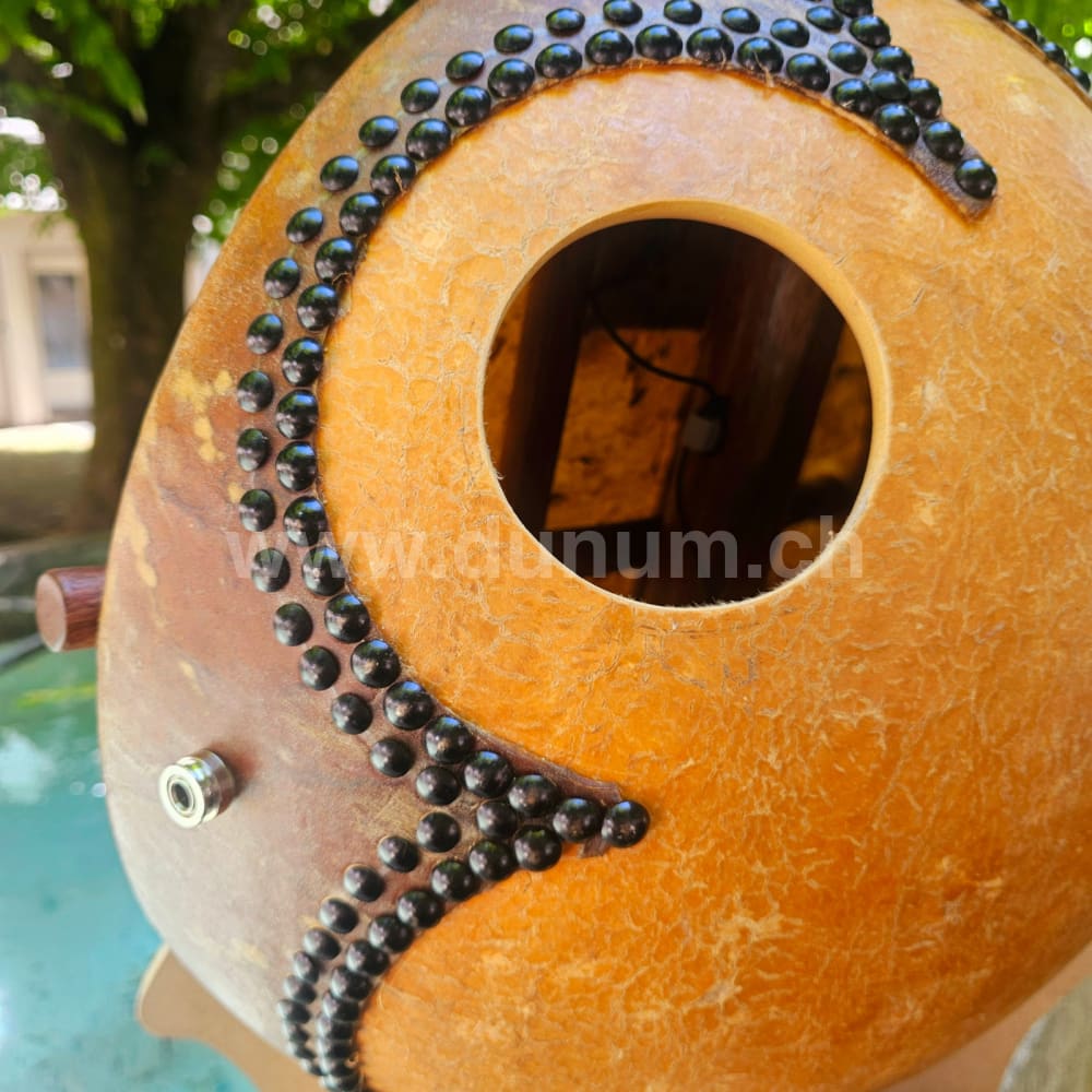 Kora Klassik mit Tasche und Verstärker