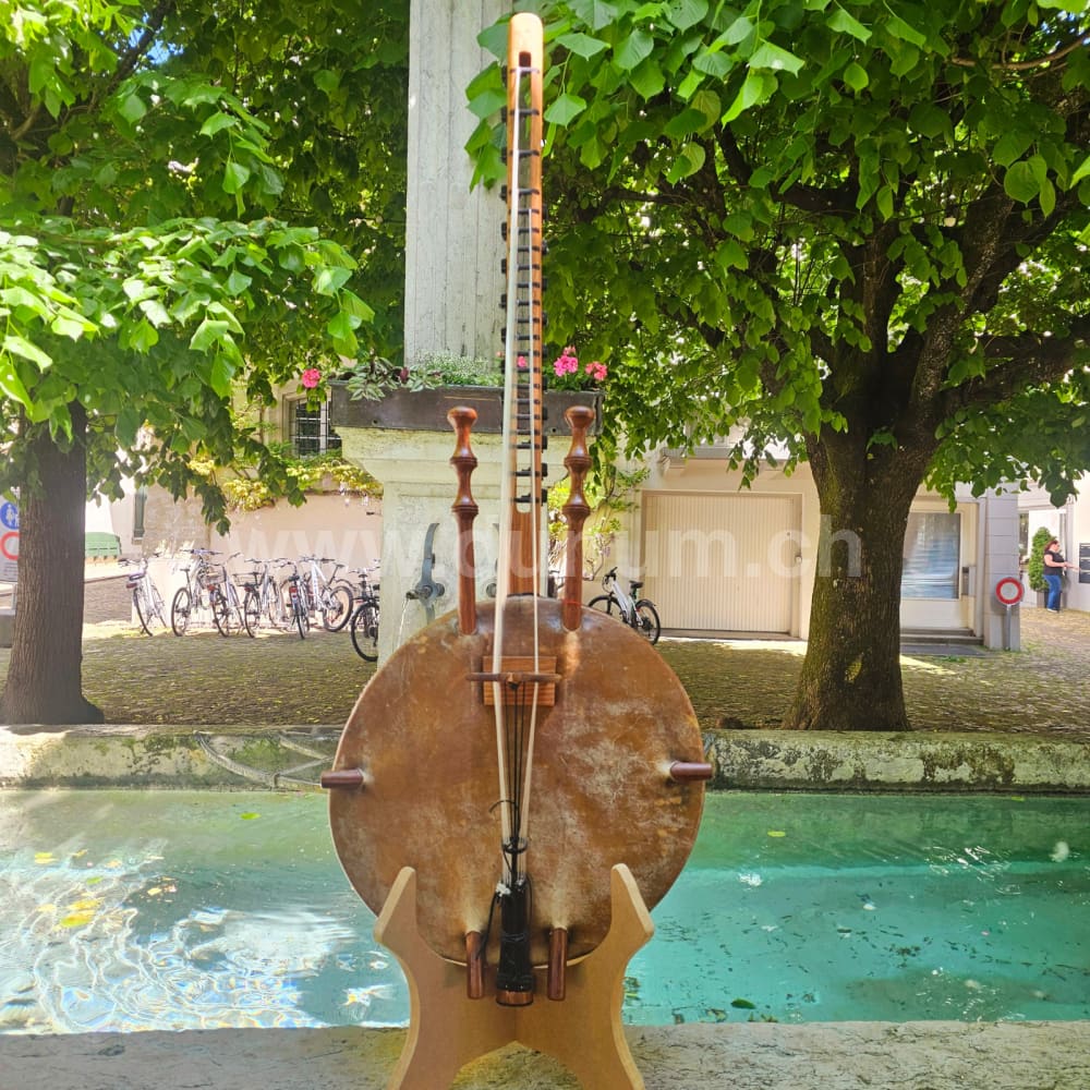 Kora Klassik mit Tasche und Verstärker