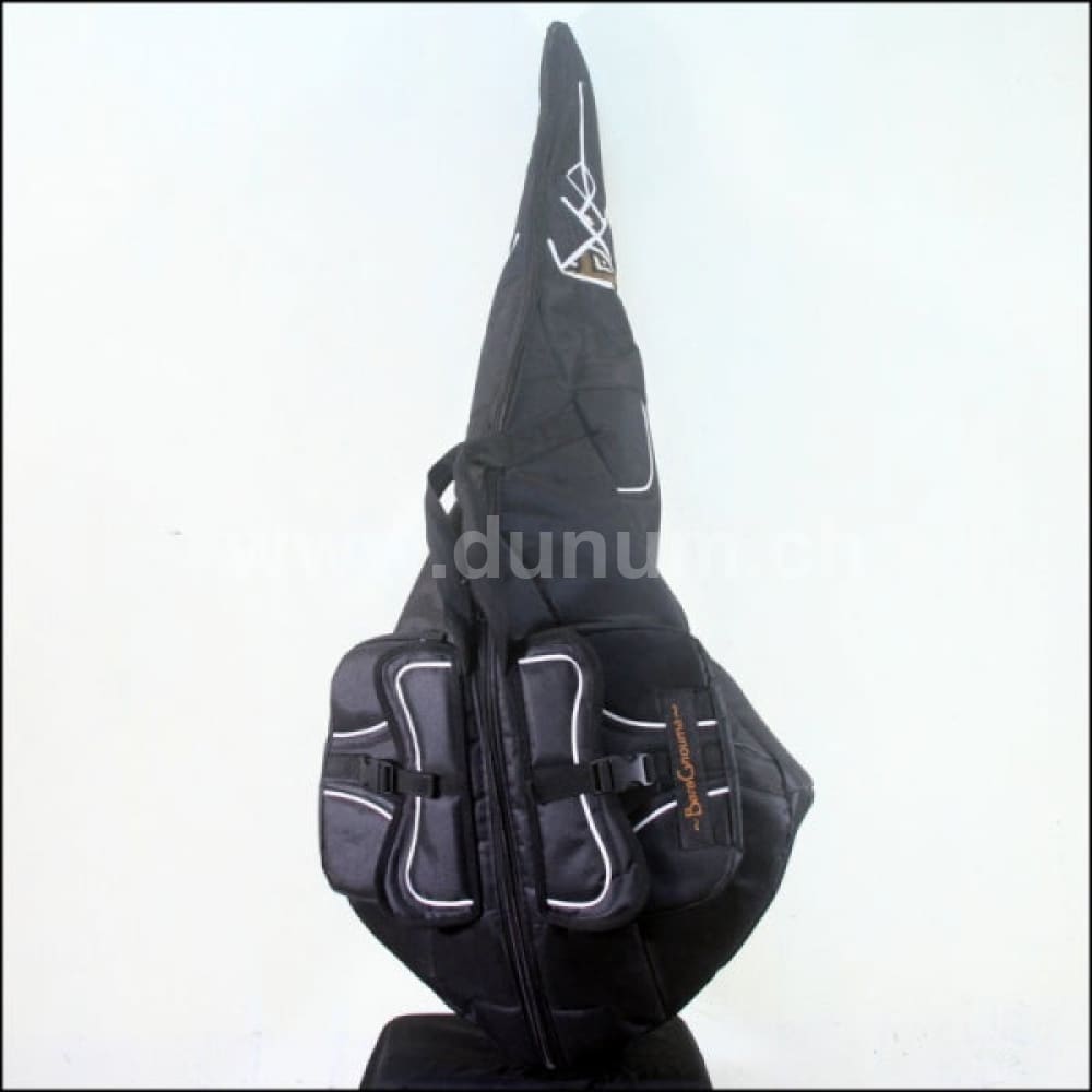 Kora Klassik mit Tasche und Verstärker