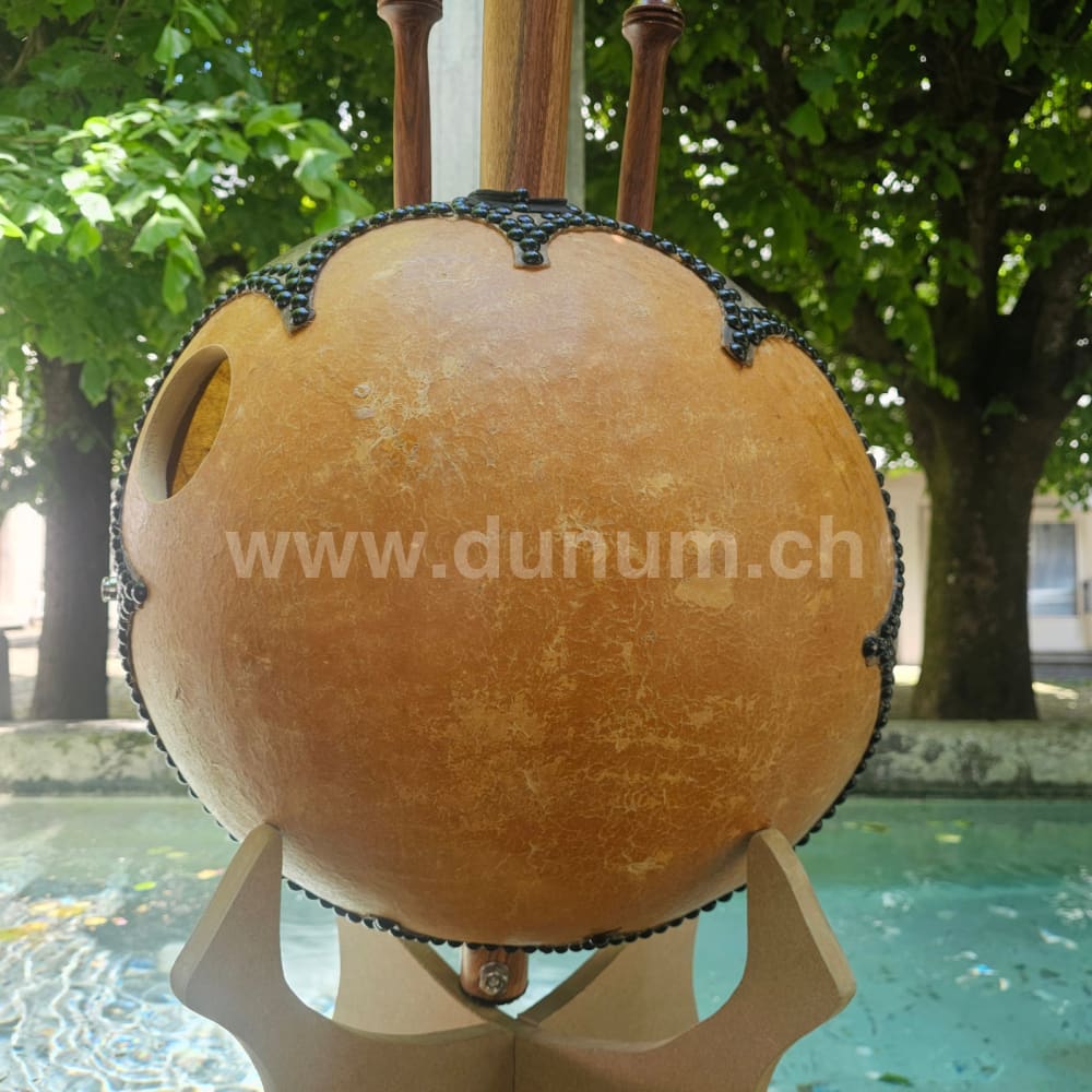 Kora Klassik mit Tasche und Verstärker