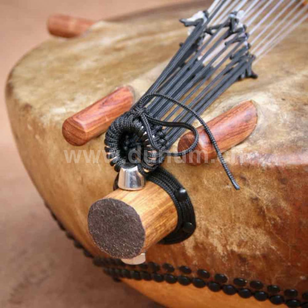 Kora Klassik mit Tasche und Verstärker