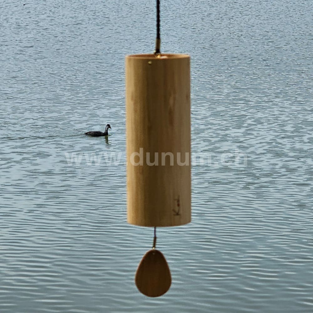 Koshi Aqua - Wasser | Koshi und Zaphir| Dunum.ch