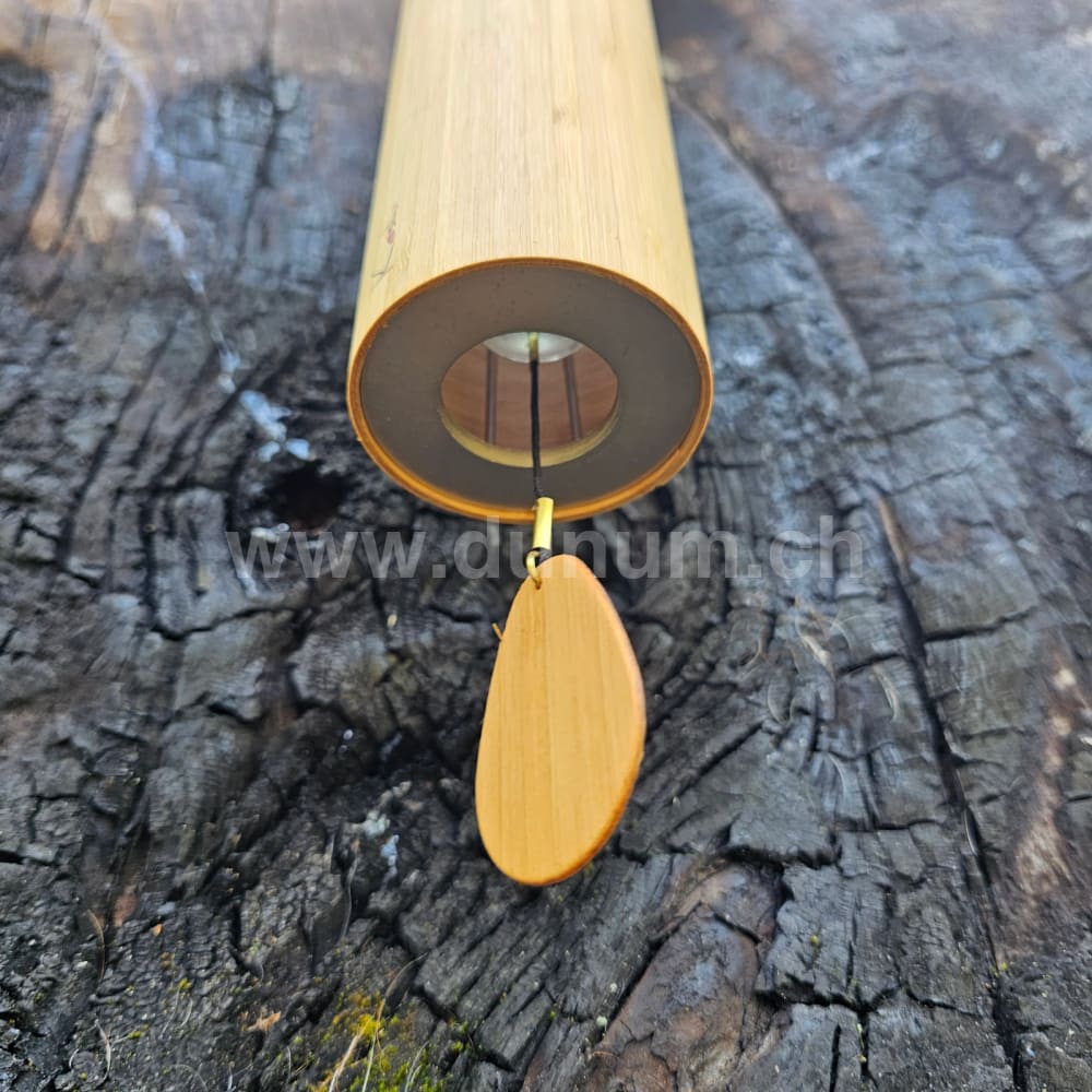 Koshi  - Ignis - Feuer | Koshi und Zaphir | Dunum.ch