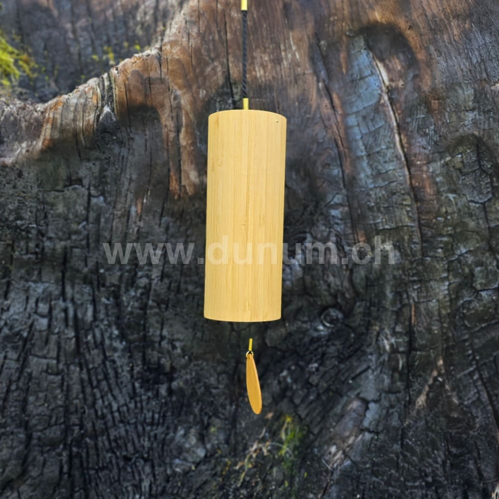 Koshi  - Ignis - Feuer | Koshi und Zaphir | Dunum.ch