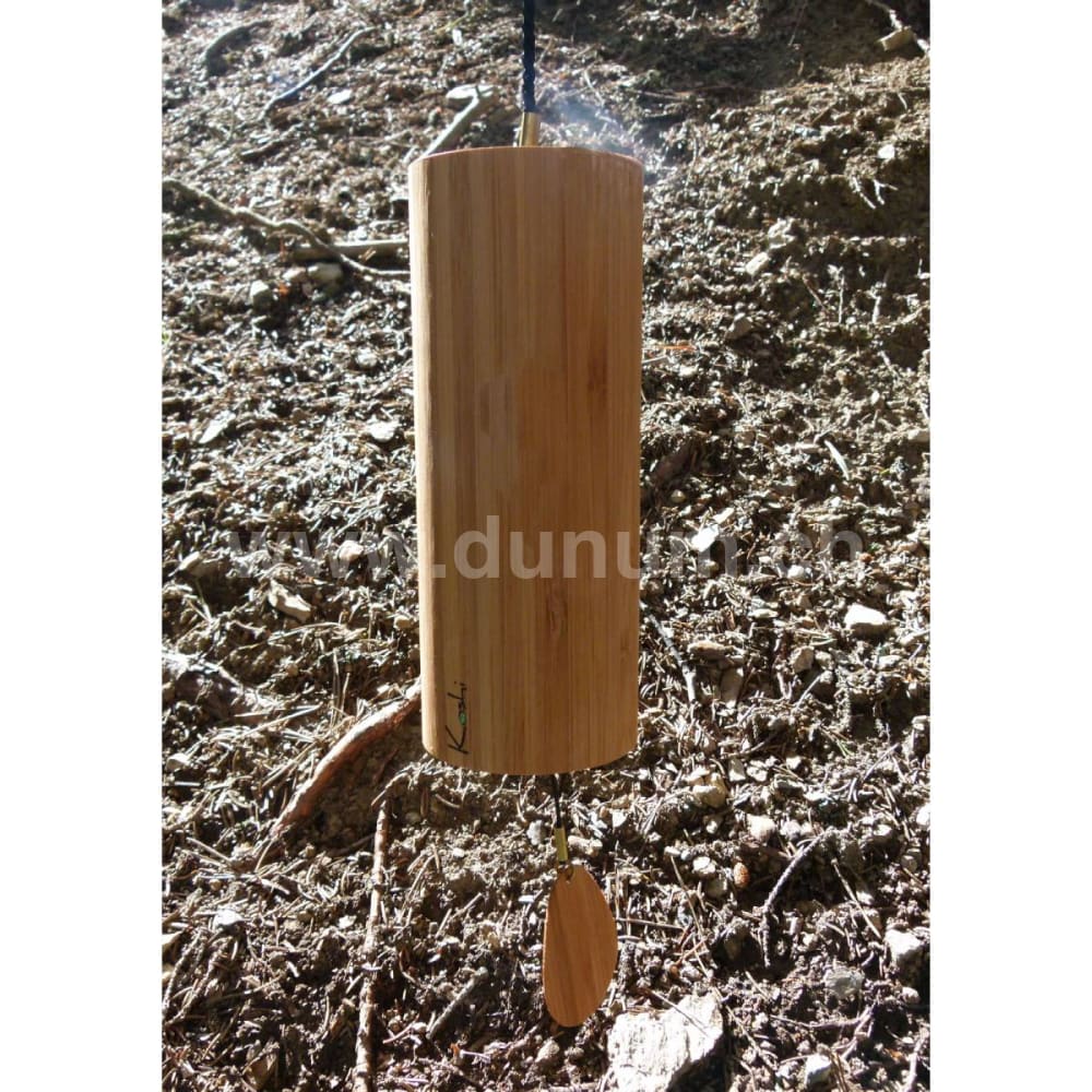 Koshi Terra - Erde | Koshi und Zaphir| Dunum.ch