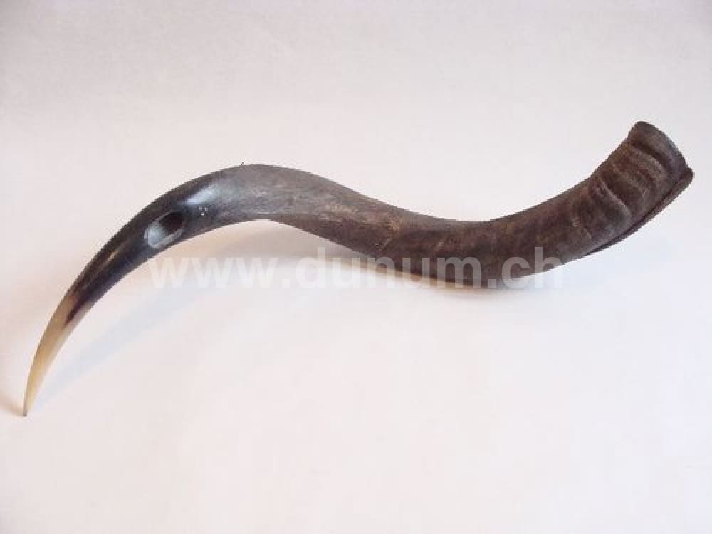 Kudu Horn | Blasinstrumente | Flöten der Welt | Dunum.ch