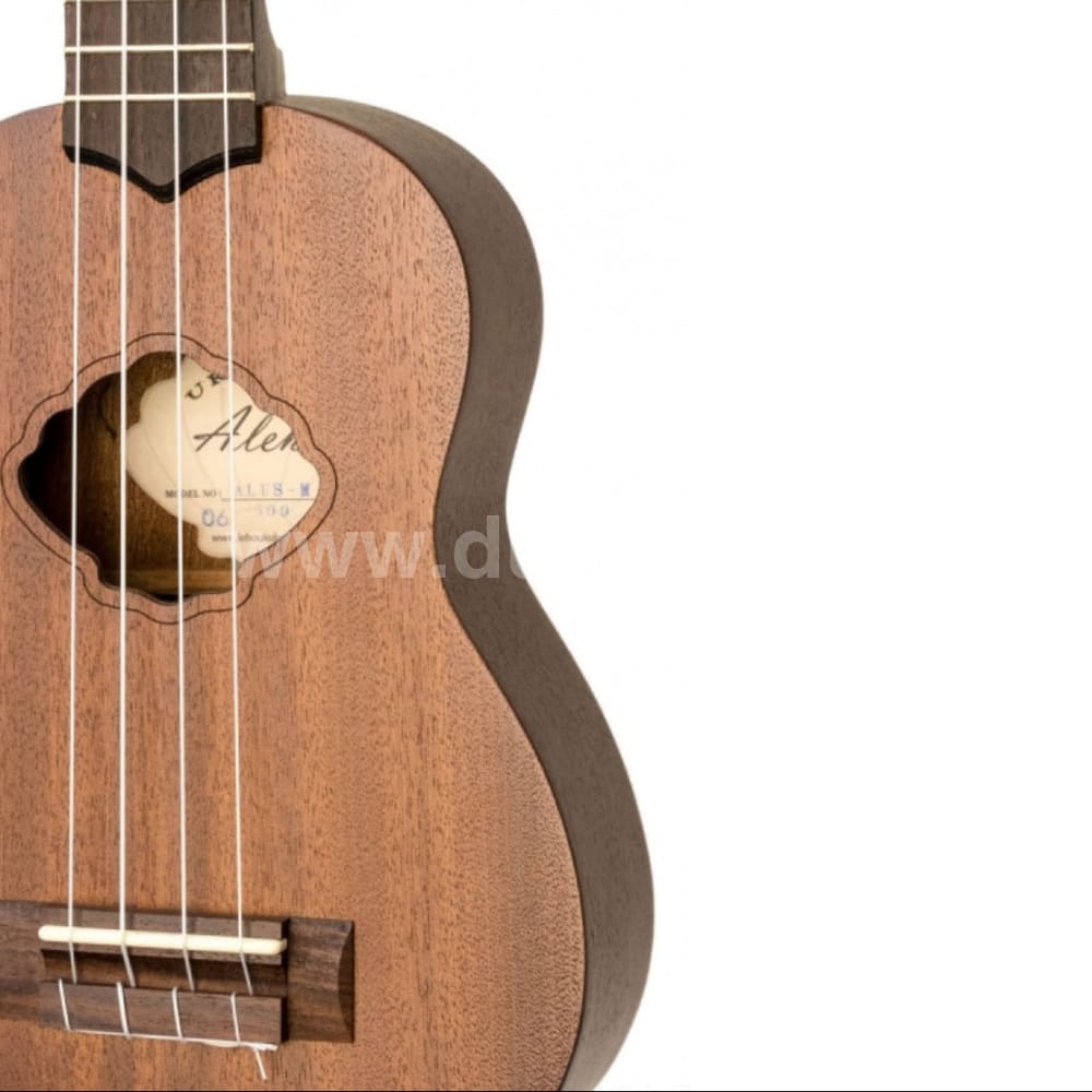 LEHO ALUC-M - Konzert- Sopran