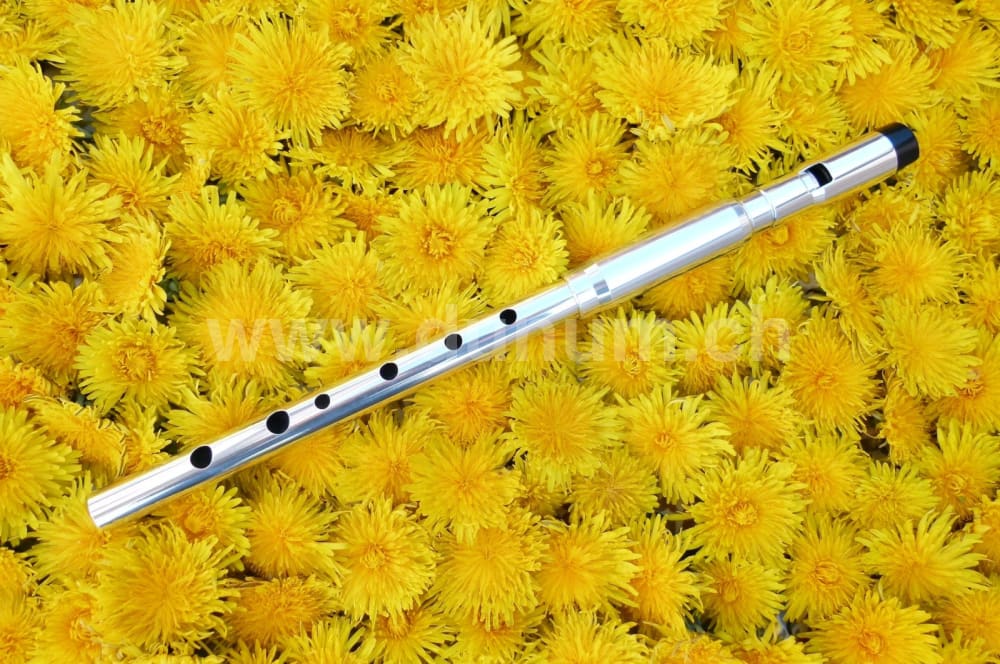 Michael Burke - D Aluminium Wide Bore | Blasinstrumente | Tin Whistle Welt | Dunum.ch