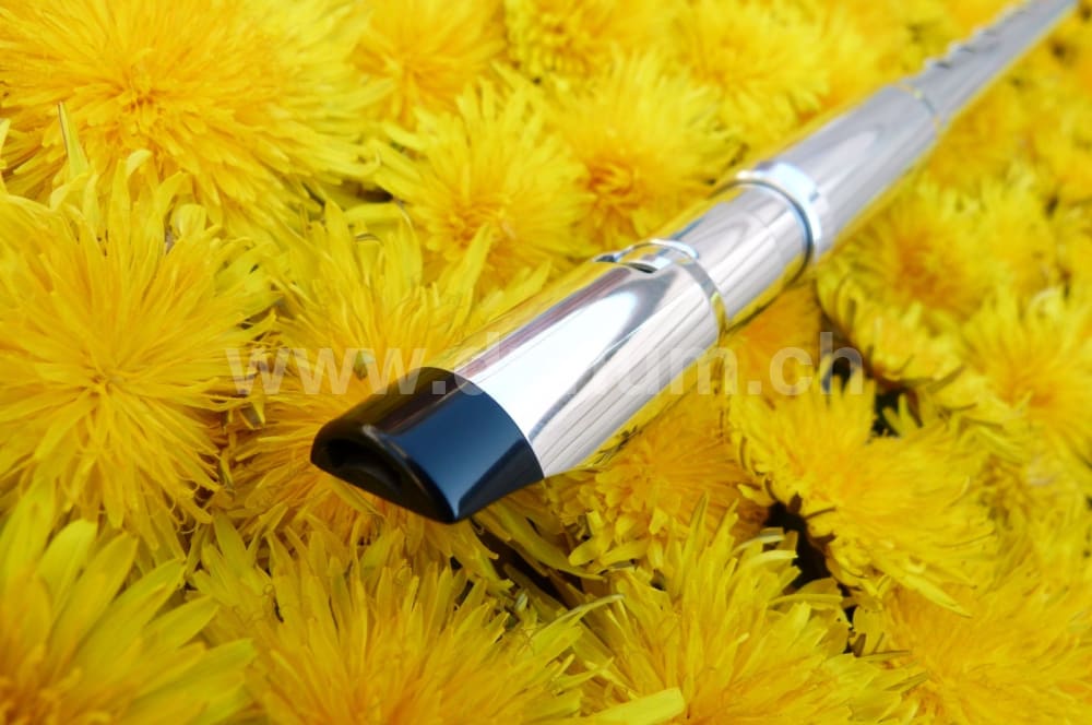Michael Burke - D Aluminium Wide Bore | Blasinstrumente | Tin Whistle Welt | Dunum.ch